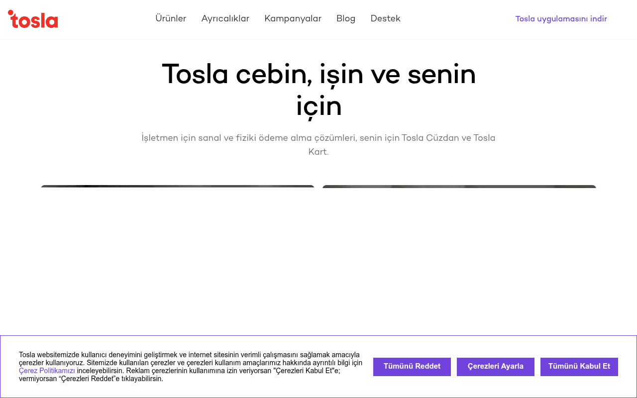Screenshot of tosla.com