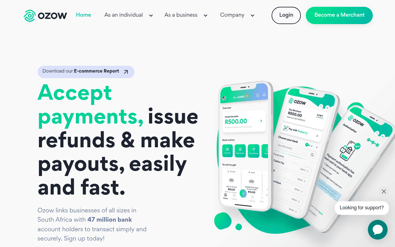 ozow.com landing page screenshot